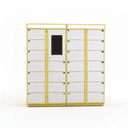 Modern Network Controlled Smart Laundry Locker with Electronic Lock for Self Service Clothes Drop Off in Hotels and Schools